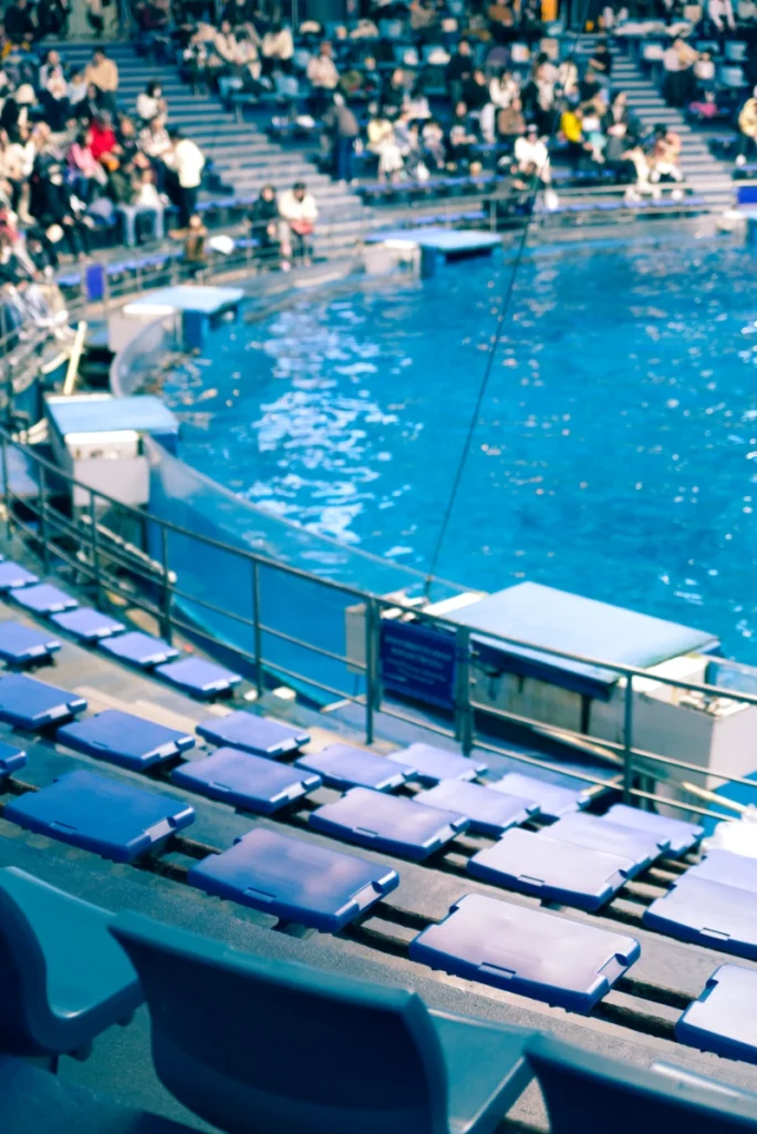 マクセルアクアパーク品川 イルカショー 撮影 Canon 6D